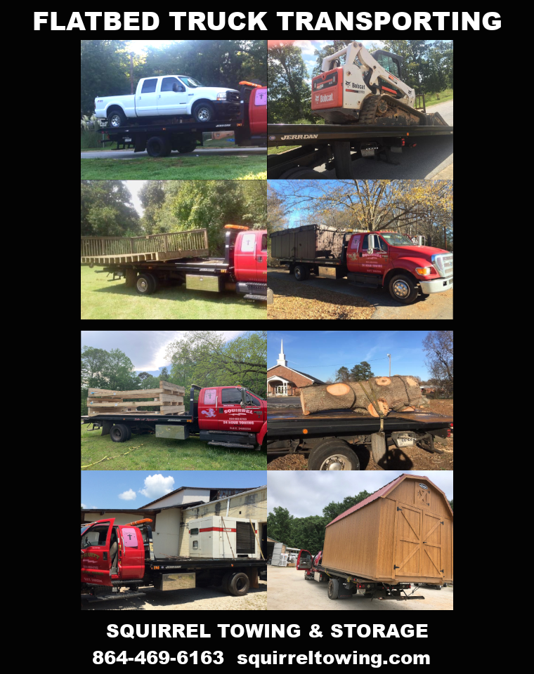 Squirrel Towing Flatbed Transporting